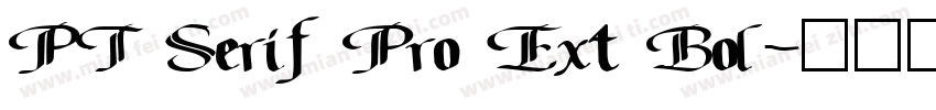 PT Serif Pro Ext Bol字体转换